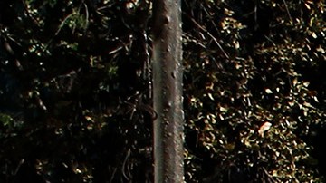A demonstrator waves a Chilean flag next to a fire as clashing with riot police during a protest against President Sebastian Piñera on October 21, 2019 in Santiago, Chile. Photo by Marcelo Hernandez/Getty Images