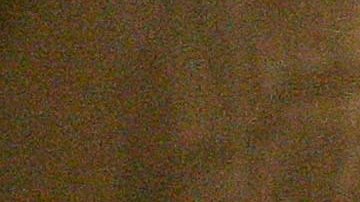 Handcuffs secure the back door of a U.S. Customs and Border Protection border patrol vehicle loaded with suspected undocumented immigrants near Yuma, Arizona. Photo by David McNew/Getty Images