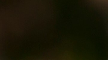 Empty colorful swings at the park. Getty Images