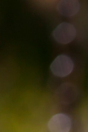 Empty colorful swings at the park. Getty Images