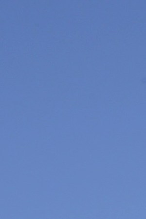 Democratic presidential candidate Sen. Bernie Sanders holds hands with Rep. Alexandria Ocasio-Cortez during his speech at a campaign rally in Queensbridge Park on October 19, 2019 in the Queens borough of New York City.  Photo by Kena Betancur/Getty Images