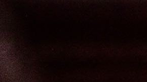 Police car with flash lights and signals. Photo by GummyBone/Getty Images