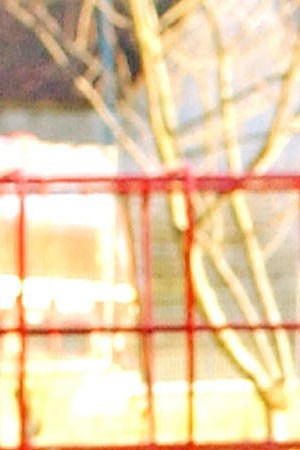 A concrete surfaced playground is shown December 18, 2002 in London. Photo by John Li/Getty Images