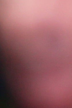 Rosario Dawsom attends the 'Cleopatra' premiere during The 66th Annual Cannes Film Festival at The 60th Anniversary Theatre on May 21, 2013 in Cannes, France. Photo by Vittorio Zunino Celotto/ Getty Images