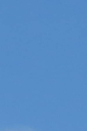 Photo by Getty Images