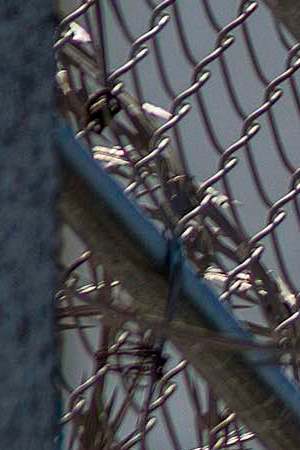 Razor wire is seen on the Metropolitan Detention Center prison as mass arrests by federal immigration authorities, ordered by the Trump administration, were supposed to begin in major cities across the nation on July 14, 2019 in California. Photo by David McNew/Getty Images
