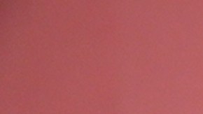 'Queen of Lapa' still courtesy of NewFest