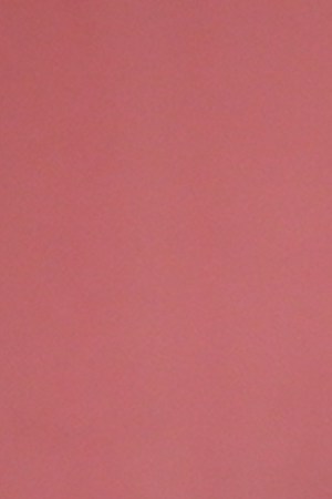 'Queen of Lapa' still courtesy of NewFest