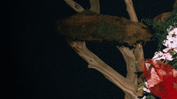 Photo by Philip Harris. Courtesy of the artist