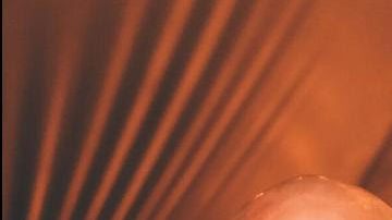 Photo courtesy of the artist