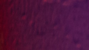 Photo courtesy of the artist