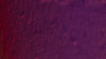 Photo courtesy of the artist