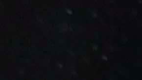 Courtesy of Colombia Trans History