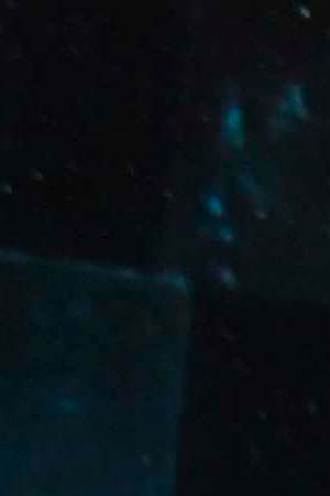 Courtesy of Colombia Trans History