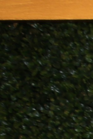 Photo by Jose A. Vega. Courtesy of Estrella Tv