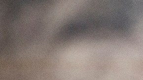 Photo courtesy of the artist