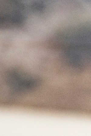 Photo courtesy of the artist