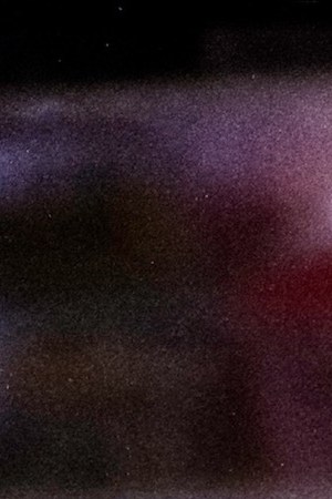 Photo by Daniel di Domenico. Courtesy of the artist