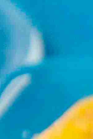 Photo by joreasonable / iStock / Getty Images Plus