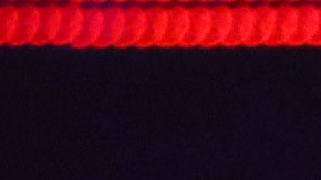 Romeo Santos accepts the Favorite Album Award onstage during the 2019 Latin American Music Awards at Dolby Theatre. Photo by JC Olivera/Getty Images