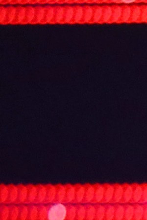 Romeo Santos accepts the Favorite Album Award onstage during the 2019 Latin American Music Awards at Dolby Theatre. Photo by JC Olivera/Getty Images