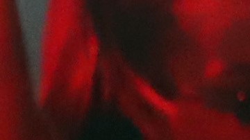 Rosalia performs on stage during the MTV EMAs 2019 at FIBES Conference and Exhibition Centre Photo by Tim P. Whitby/Getty Images for MTV