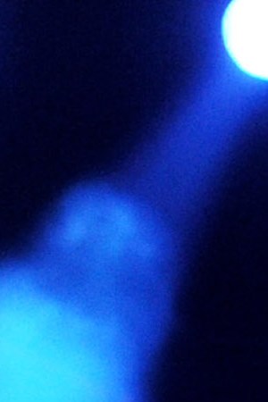 Singer Zack de la Rocha of Rage Against the Machine performs at L.A. Rising at the L.A. Memorial Coliseum. Photo by Kevin Winter/Getty Images