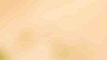 Photo by DebbiSmirnoff / iStock / Getty Images Plus