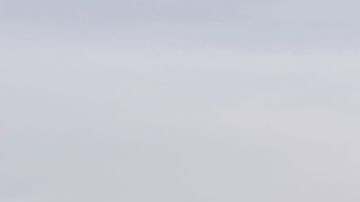 Courtesy of Cinema Tropical/Margaret Mead Film Festival