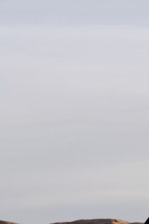 Courtesy of Cinema Tropical/Margaret Mead Film Festival