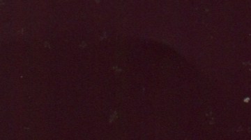 Photo courtesy of the artist.