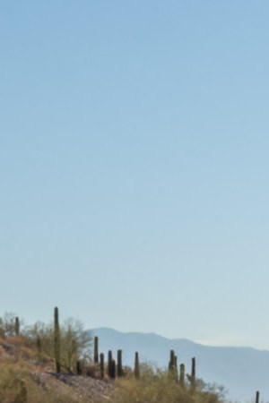 Courtesy of Regina Romero for Tucson Mayor