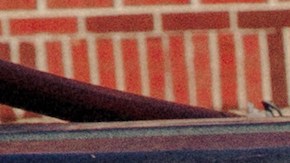 Photo by Kevin Condon. Courtesy of the artist