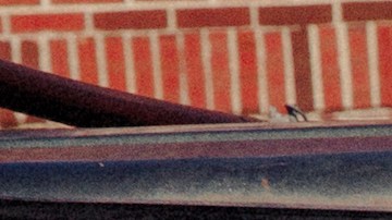 Photo by Kevin Condon. Courtesy of the artist