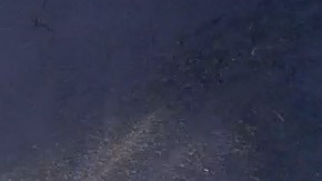 Courtesy of Los Cabos International Film Festival