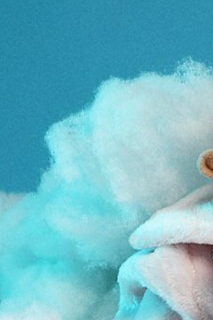 Courtesy of Ugly Primo