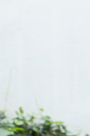 No Hay Tiempo Para La Verguenza on Netflix