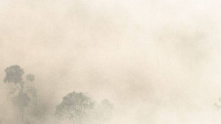 Areas of burnt land and smoke from fires in the Amazon rainforest in Rondonia state, Brazil. Photo by Leonardo Carrato/Getty Images