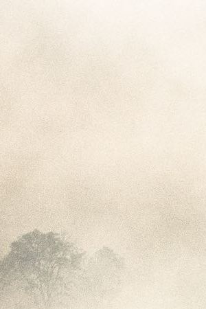 Areas of burnt land and smoke from fires in the Amazon rainforest in Rondonia state, Brazil. Photo by Leonardo Carrato/Getty Images