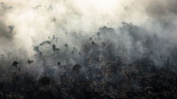 Areas of burnt land and smoke from fires in the Amazon rainforest in Rondonia state, Brazil. Photo by Leonardo Carrato/Getty Images