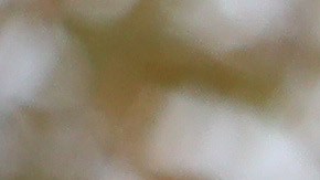 Democratic presidential candidate Sen. Bernie Sanders and Rep. Alexandria Ocasio-Cortez hold a news conference to introduce legislation to transform public housing as part of their Green New Deal proposal outside the U.S. Capitol November 14, 2019 in Washington, DC. Photo by Chip Somodevilla/Getty Images