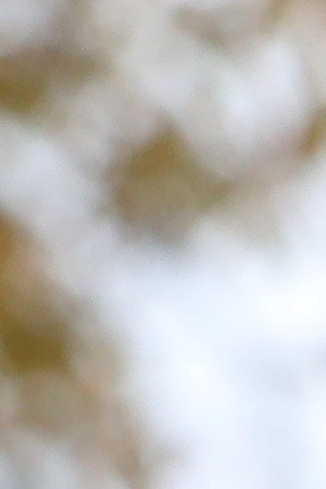 Democratic presidential candidate Sen. Bernie Sanders and Rep. Alexandria Ocasio-Cortez hold a news conference to introduce legislation to transform public housing as part of their Green New Deal proposal outside the U.S. Capitol November 14, 2019 in Washington, DC. Photo by Chip Somodevilla/Getty Images