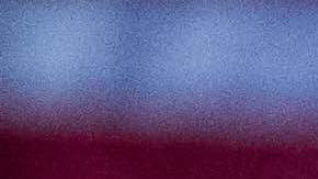 Democratic presidential candidate U.S. Sen. Bernie Sanders (I-VT) addresses the crowd at the Royal family Life Center on March 14, 2019 in North Charleston, South Carolina. Photo by Sean Rayford/Getty Images