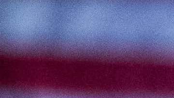 Democratic presidential candidate U.S. Sen. Bernie Sanders (I-VT) addresses the crowd at the Royal family Life Center on March 14, 2019 in North Charleston, South Carolina. Photo by Sean Rayford/Getty Images