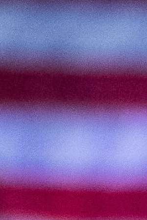 Democratic presidential candidate U.S. Sen. Bernie Sanders (I-VT) addresses the crowd at the Royal family Life Center on March 14, 2019 in North Charleston, South Carolina. Photo by Sean Rayford/Getty Images