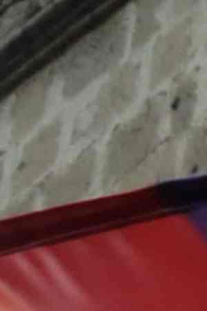 Supporters of Evo Morales wave Wiphala flags during a protest on November 14, 2019 in La Paz, Bolivia. Photo by Gaston Brito Miserocch/Getty Images