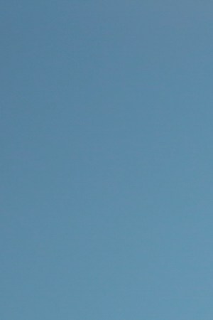 An Indigenous woman prays and cries during a blockade to a Yacimientos Petroliferos Fiscales Bolivianos (YPFB) oil refinery as part of a protest against the new Interim President of Bolivia, Jeanine Añez, on November 17, 2019 in El Alto, La Paz, Bolivia. Photo by Gaston Brito Miserocchi/Getty Images