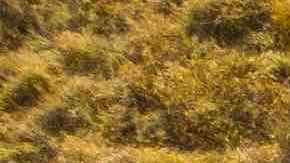 Photo by Mauricio Simonetti / Getty Images