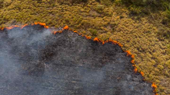 Photo by Mauricio Simonetti / Getty Images