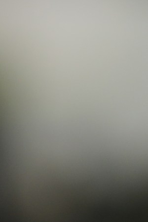 Former Bolivian president Evo Morales speaks to the press on his arrival to Benito Juarez International Airport after accepting the political Asylum granted by the Mexican Government. Photo by Hector Vivas/Getty Images